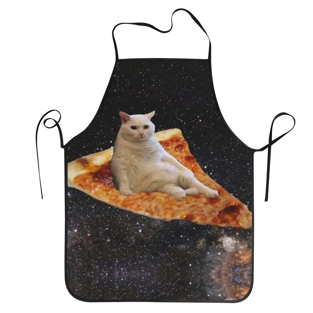 1PC Unisex Space Pizza Cat Apr - Home Cooking For Cats 리뷰 및 가격