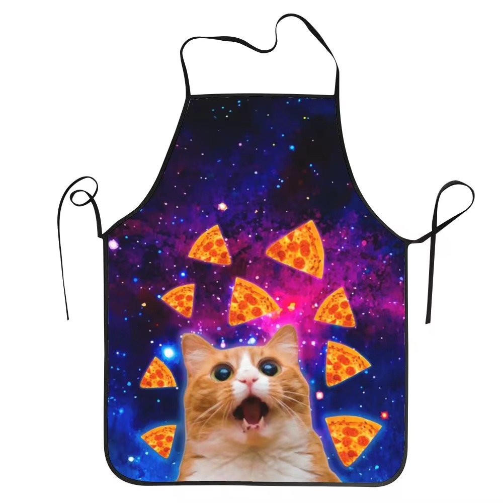 1PC Unisex Space Pizza Cat Apr - Home Cooking For Cats 리뷰 및 가격