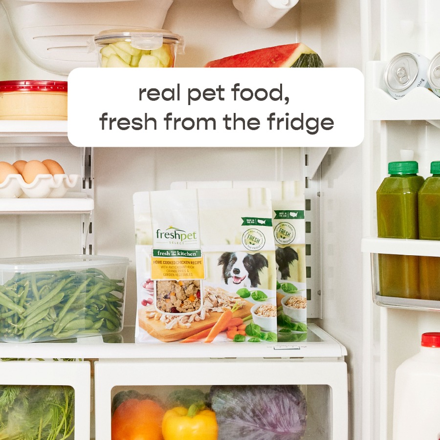 4 pack Fresh Dog Food, Fresh F - Home Cooking Recipes 리뷰 및 가격