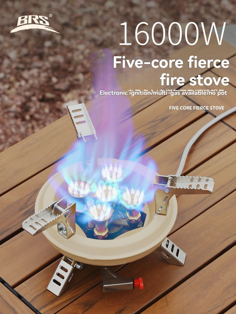 BRS-201A Portable Camping Gas  - Home Cooking Gas 리뷰 및 가격