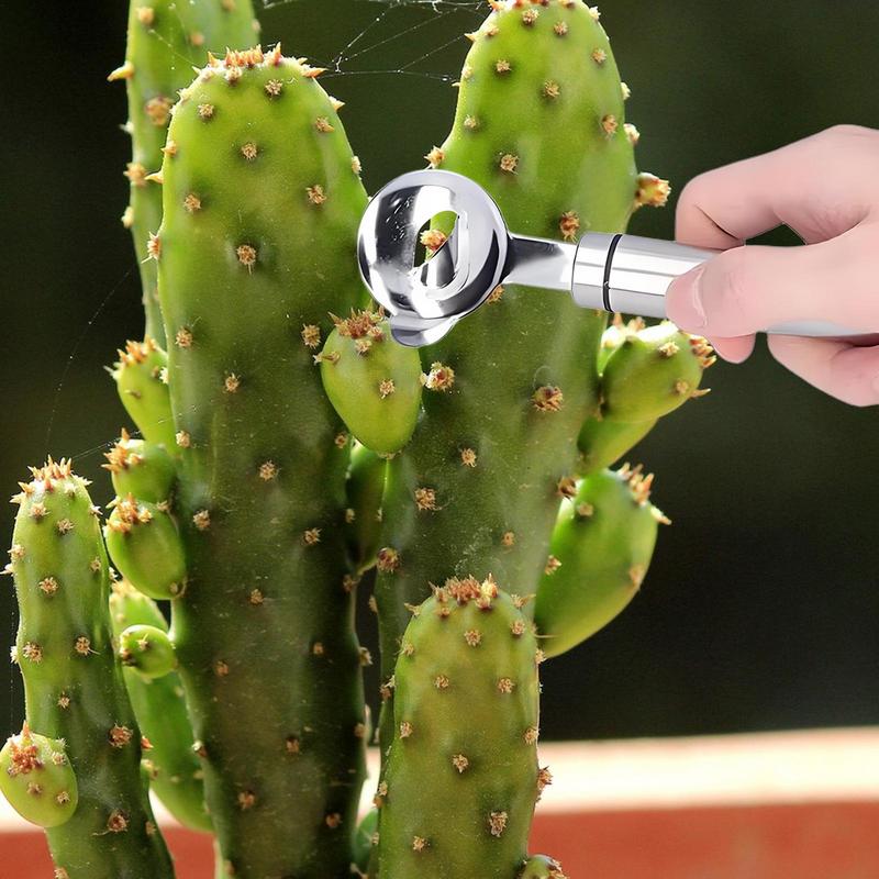 Home Kitchen Tool Peeler Multi - Home Cooking Services 리뷰 및 가격