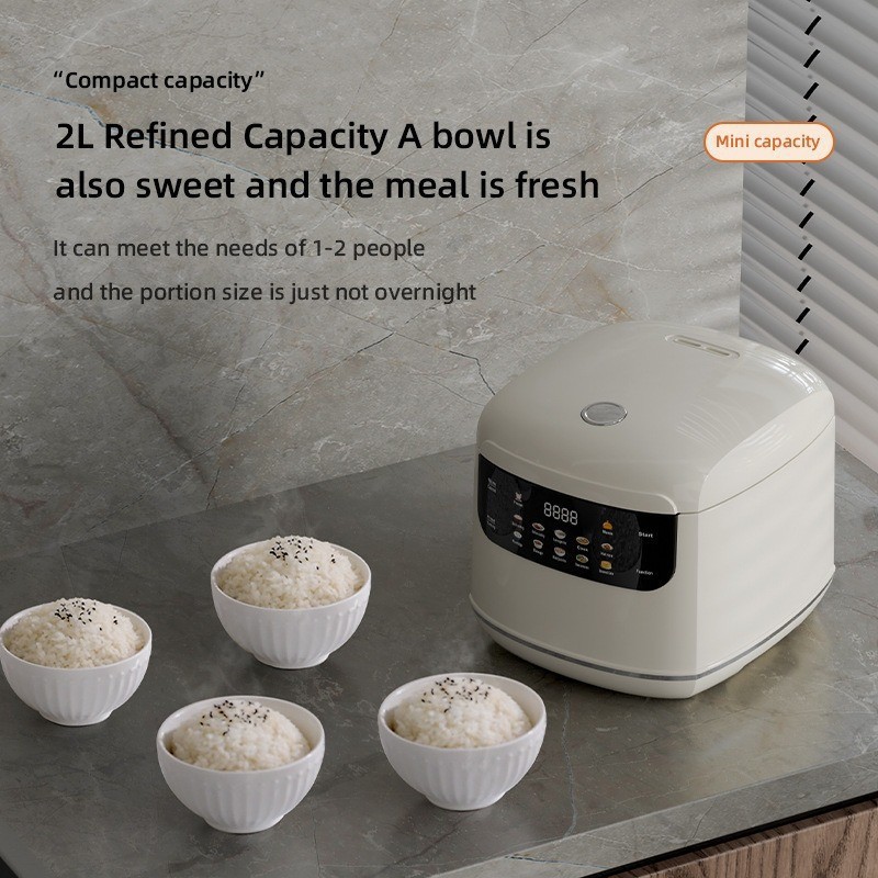 2026 new home110V/220V US /EU/ - Uk Home Cooking 리뷰 및 가격
